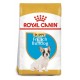 Royal Canin Puppy Bulldog Frances 10 kg Pienso para Perros