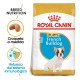 Royal Canin Puppy Bulldog Frances 10 kg Pienso para Perros