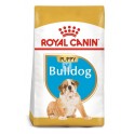 Royal Canin Puppy Bulldog 12 kg Pienso para Perros