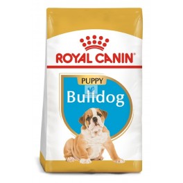 Royal Canin Puppy Bulldog 12 kg Pienso para Perros