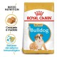 Royal Canin Puppy Bulldog 12 kg Pienso para Perros