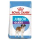 Royal Canin Puppy-Giant Junior 15 Kg Pienso para Perros