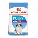 Royal Canin Puppy-Giant 15 Kg pienso para perros