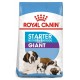 Royal Canin Giant Starter 15 Kg Cachorros y Madres Lactantes Pienso para Perros