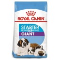 Royal Canin Puppy-Giant Starter 15 Kg Cachorros y Madres Lactantes Pienso para Perros