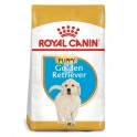 Royal Canin Puppy Golden Retriever 12 Kg Pienso para Perros