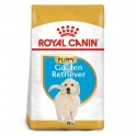 Royal Canin Golden Retriever Puppy 12 Kg Pienso para Perros