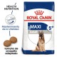 Royal Canin Adult-Maxi 5+ 15 Kg Pienso para Perros