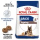 Royal Canin Adult-Maxi 8+ Ageing 15 kg Pienso para Perros