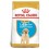 Royal Canin Labrador Retriever Puppy 12 kg Pienso para Perros