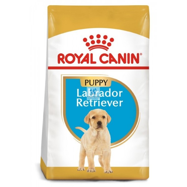 Comida para perros pienso advance LABRADOR