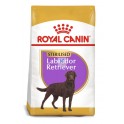 Royal Canin Labrador Retriever Adult Sterilised 12 kg Pienso para Perros