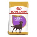 Royal Canin Adult Labrador Retriever Sterilised 12 kg Pienso para Perros