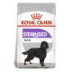 Royal Canin Adult-Maxi Sterilised 12 Kg Pienso para Perros