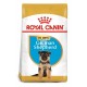 Royal Canin Puppy Pastor Aleman 12 Kg Pienso para Perros