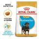 Royal Canin Rottweiler Puppy 12 kg Pienso para Perros