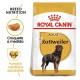 Royal Canin Adult Rottweiler 12 Kg Pienso para Perros