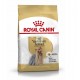 Royal Canin Adult Yorkshire Terrier 7.5 Kg Pienso para Perros