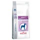 Royal Canin Adult-Giant Dog 14 kg Pienso para Perros