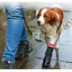 BOTINES CON SUELA DURA BUSTER MEDIUM ROJO Calzado para Perros