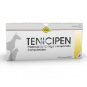 TENICIPEN 10 Comprimidos Antiparasitario Interno Para Perros y Gatos