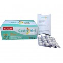 GASTROVET 30 Comprimidos Protectos Gástrico de Perros y Gatos