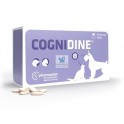 COGNIDINE 60 Comprimidos Combate el deterioro cognitivo de Perros y Gatos