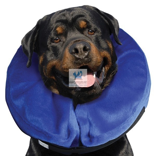 Collar kong perros on sale