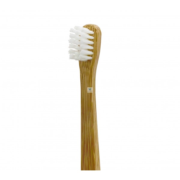 Cepillo de dientes de bambú – BESKOLab