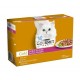 GOLD ADULT SURTIDO DOBLE PLACER 12x8x85 g Comida para gatos