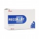 RECOFAST 100 ml Antidiarreico para Caballos