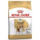 Royal Canin Adult Beagle 12 kg Pienso para Perros