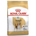 Royal Canin Beagle Adult 12 kg pienso para perros