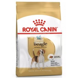 Royal Canin Adult Beagle 12 kg Pienso para Perros