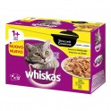 WHISKAS CASSEROLE ADULT 1+ 4 x (12x85 g) Comida para Gatos