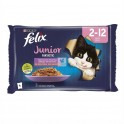 FELIX FANTASTIC JUNIOR 12x(4x85 g) Comida para gatos