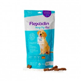 FLEXADIN PUPPY MAXI 60 CHEWS Condroprotector para perros