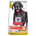 Hills Canine PERFECT-DIGESTION RAZA GRANDE 14 Kg Pienso para Perros