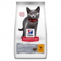 Hills Feline KITTEN STERILISED POLLO Comida para Gatos