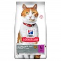 Hills Feline STERILISED YOUNG JOVEN PATO Comida para Gatos