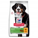 HillsHills Canine SENIOR VITALITY RAZA GRANDE 14 Kg Pienso para Perros