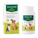 DERMOVITAL ZINC 60 Complementos para Perros