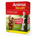 ANIMA STRATH 100 ML + PELOTA REGALO