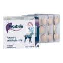 HEPATOSAN 40 Comprimidos Protector hepatico en perros