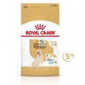 Royal Canin Adult Labrador Retriever 5+ Senior 12 Kg Pienso para perros
