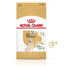 Royal Canin Adult Labrador Retriever 5+ Senior 12 Kg Pienso para perros