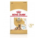 Royal Canin Adult Pastor Aleman 5+ Senior 12 Kg Pienso para Perros