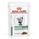 Royal Canin Diabetic 12x100 gr comida para gatos