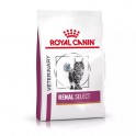 Royal Canin Feline Vet Renal SELECT 4 Kg Comida para gatos