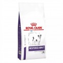 Royal Canin Adult-Small Neutered 8 Kg Pienso para Perros